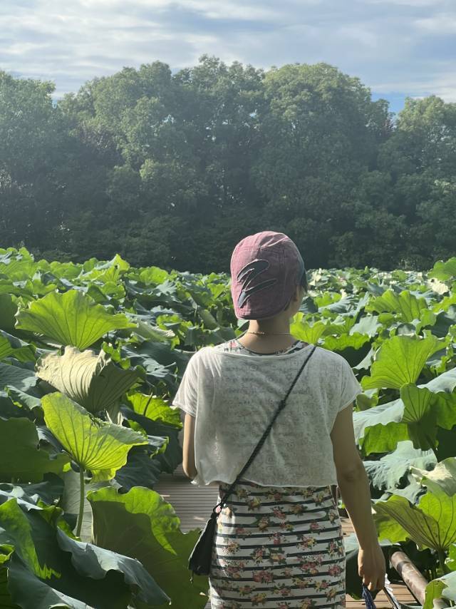 胡涂
