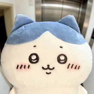 杨