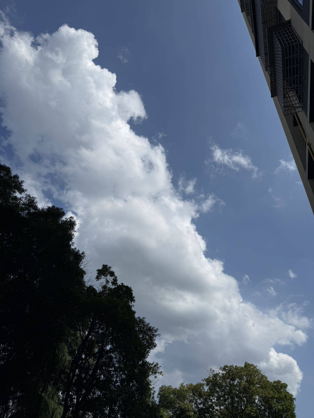 又见江南雨
