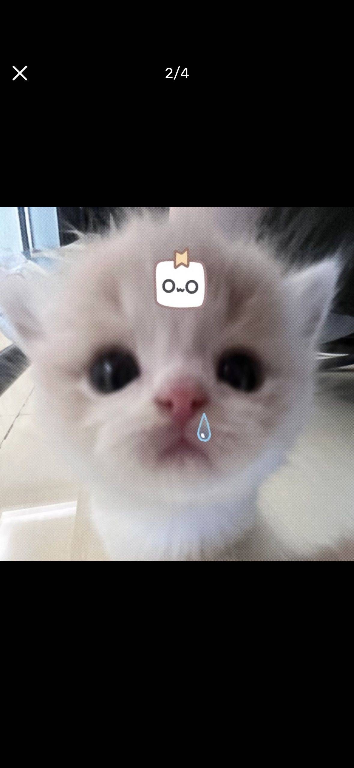 你咋这么乖
