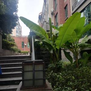 冰雹