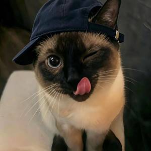 。。