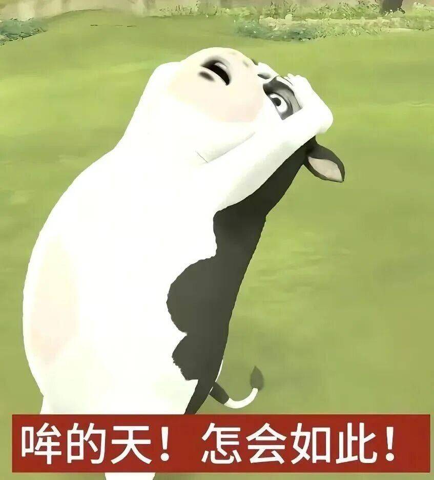 我要租房！美丽的房！