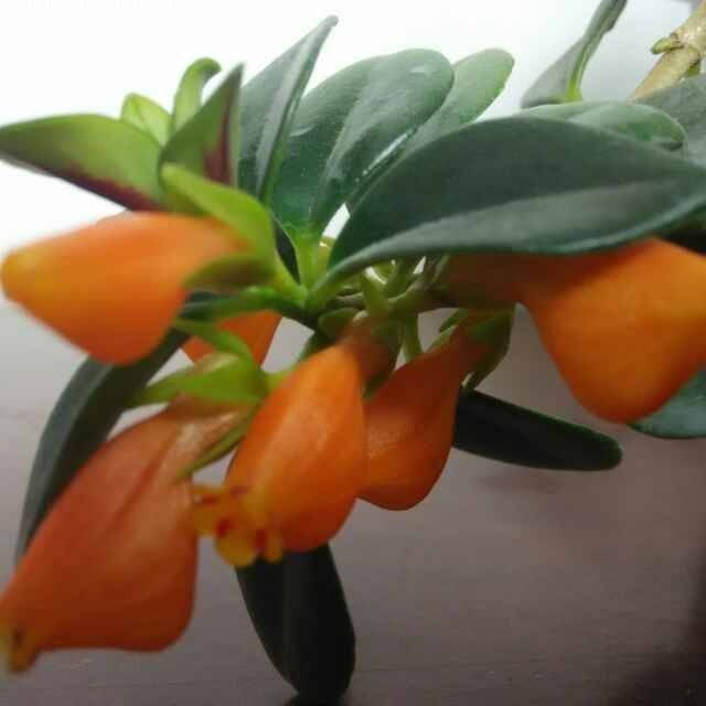 一丁