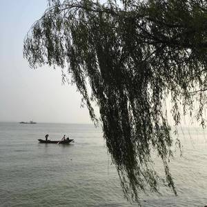 一本正经