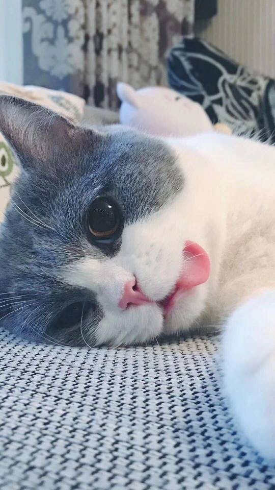 松