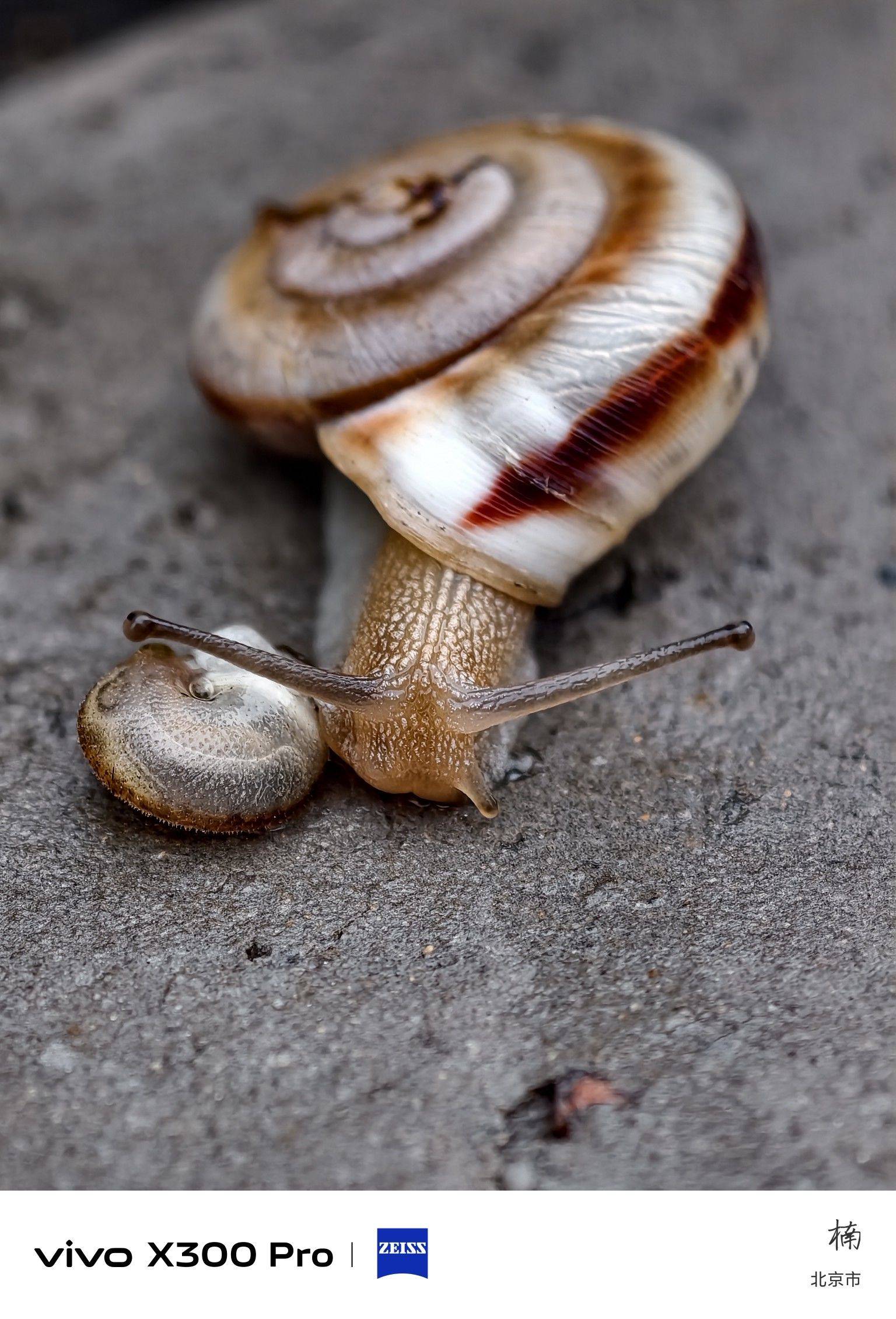 life_photo_1