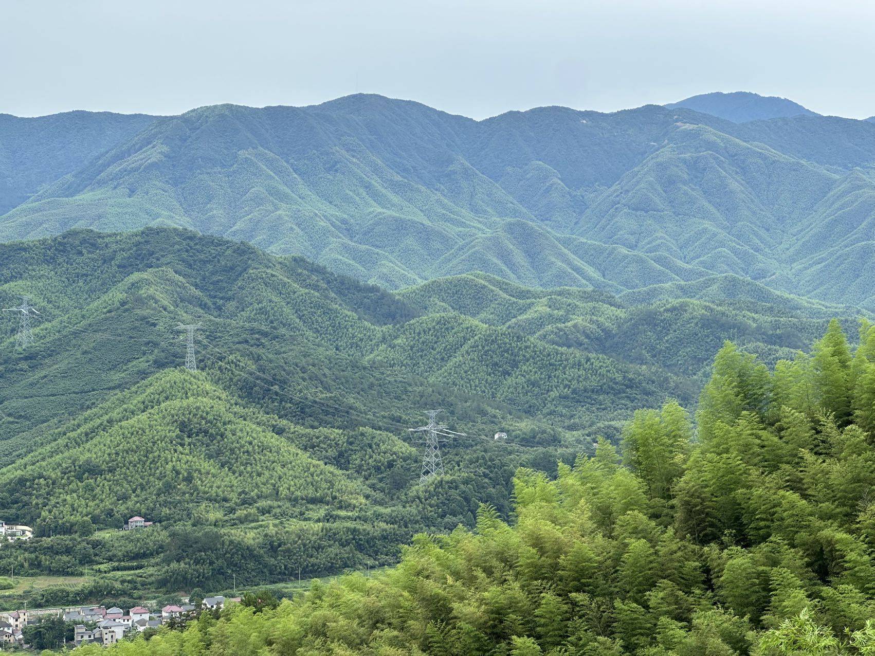 范狗蛋儿