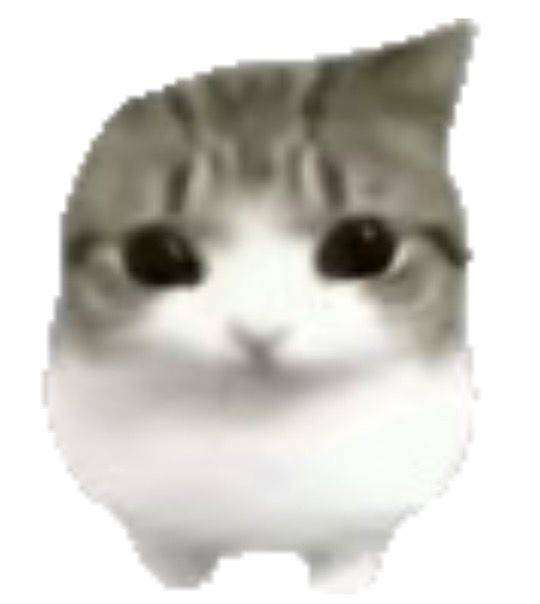 咪咪