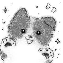 付新瀚