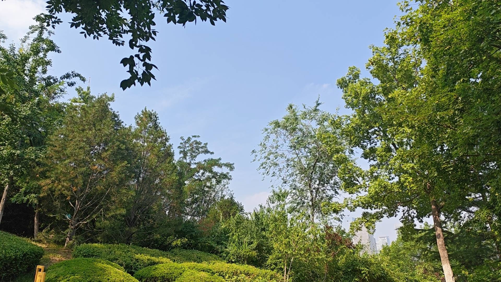 都