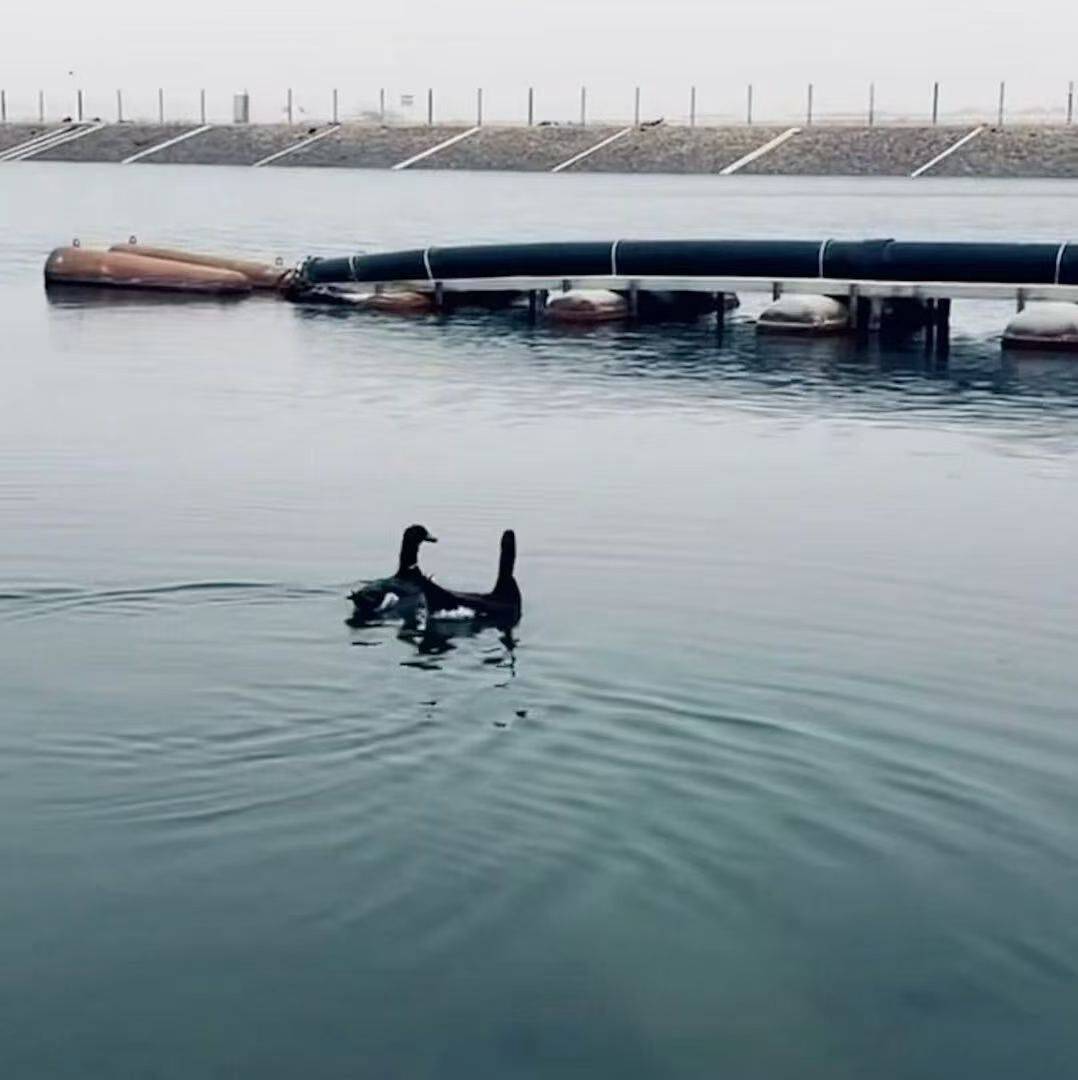 想去看海