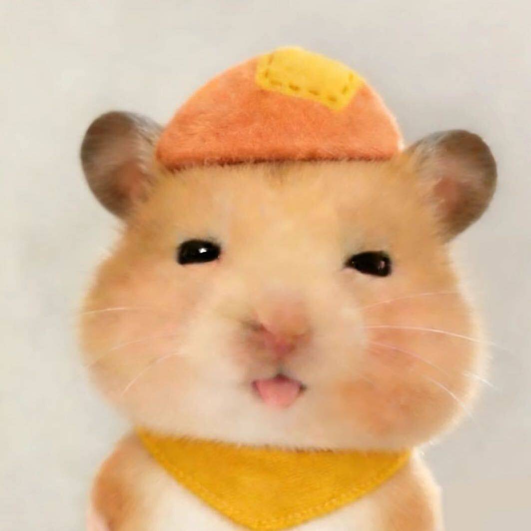 贝贝
