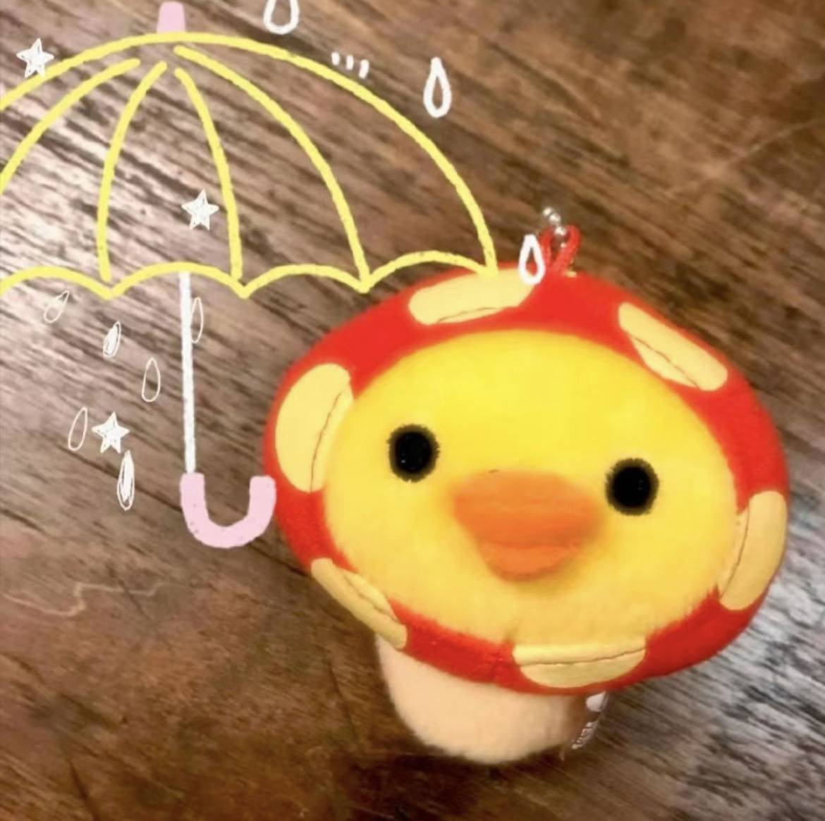 小鱼
