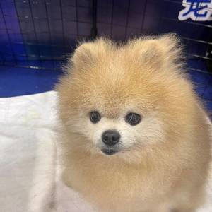 王尔 ᥬ🤔 ᩤ