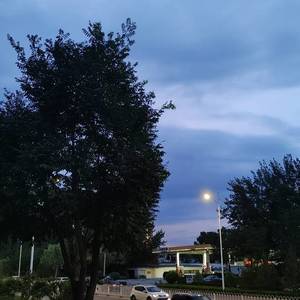 赏识的天空