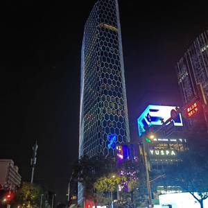 墙角的蘑菇
