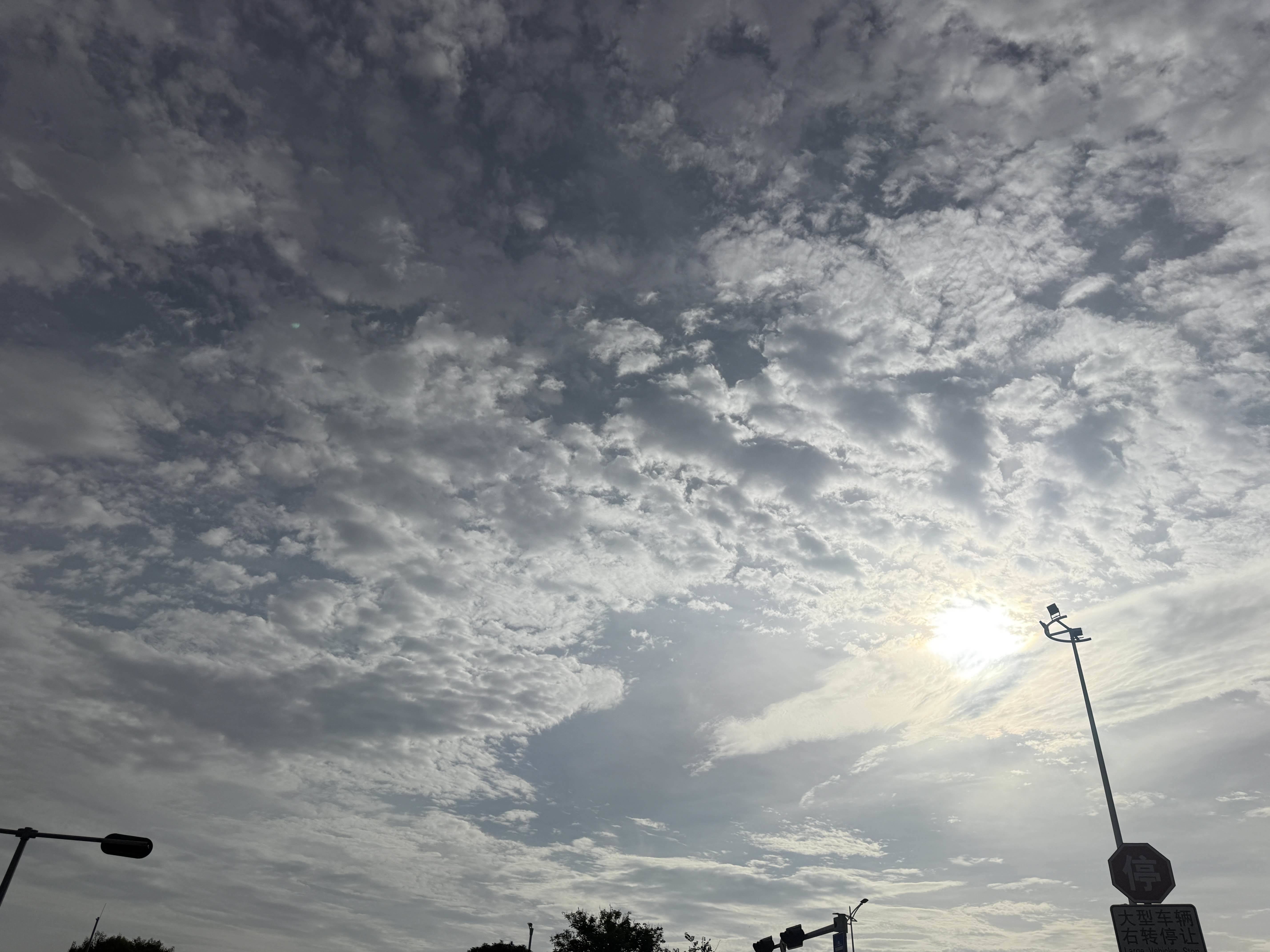 life_photo_1