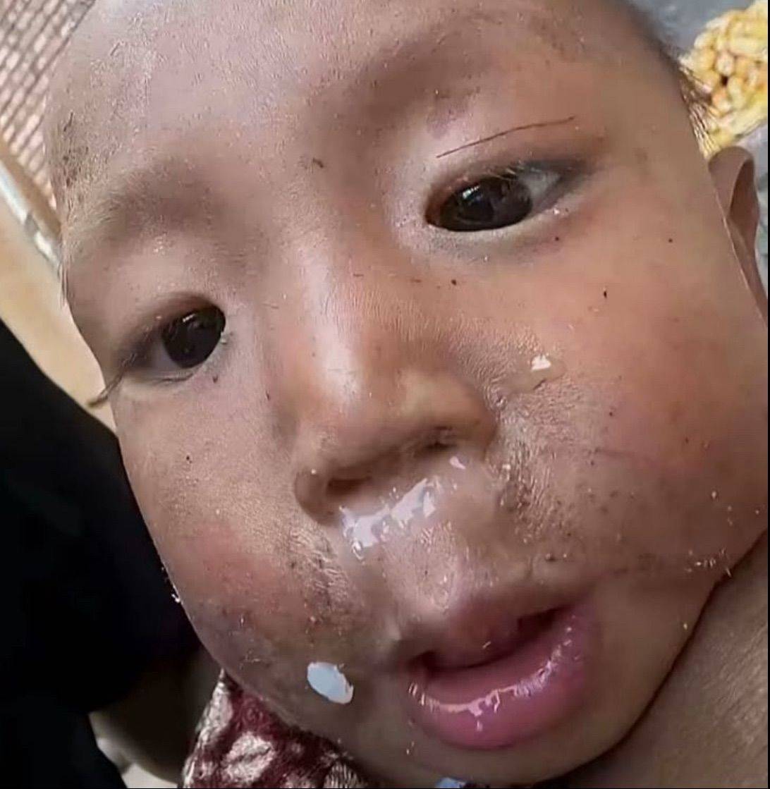 斑马