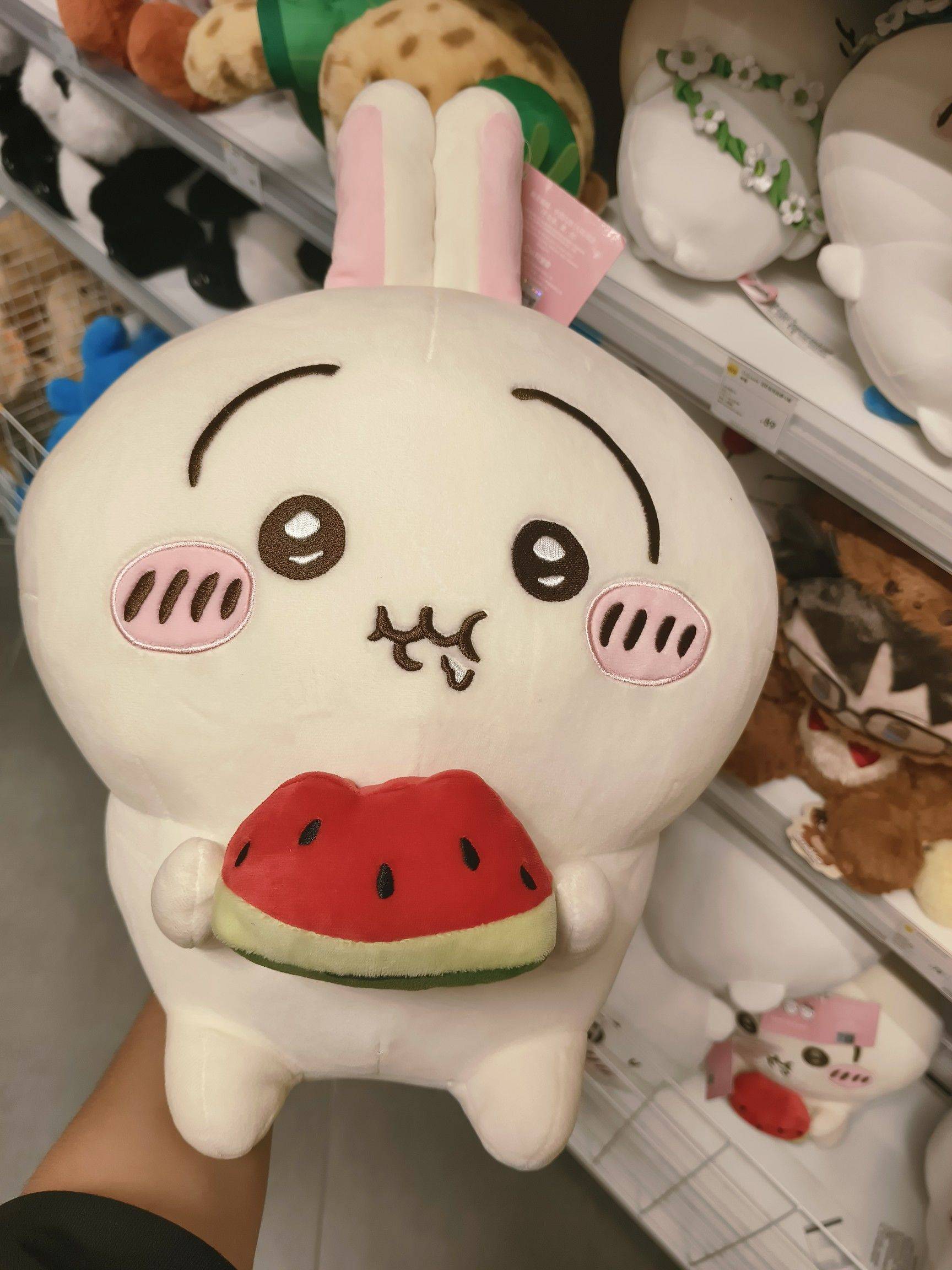 陆先生
