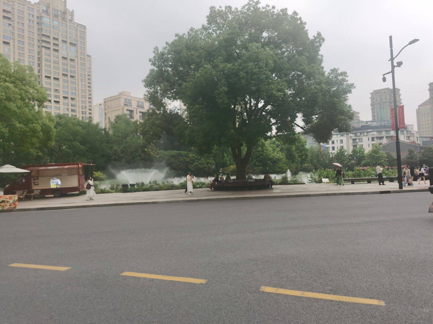 绿意与轻风的盛夏