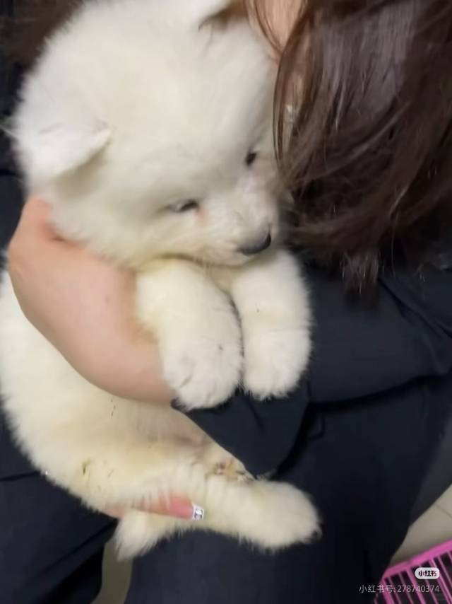 红三剁拌饭