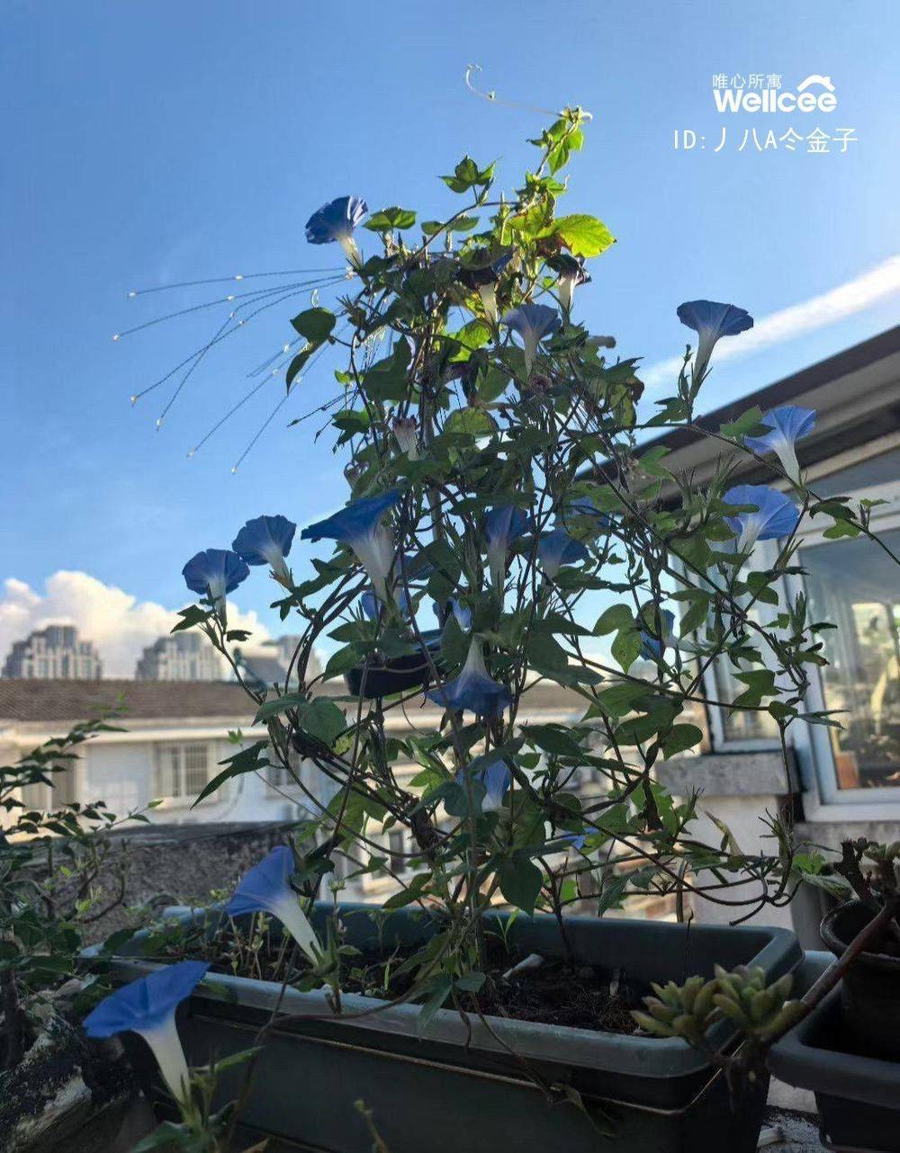 life_photo_1