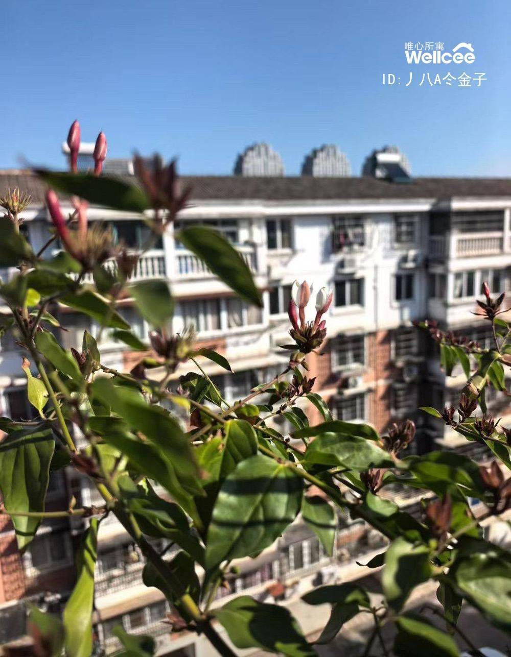 life_photo_0