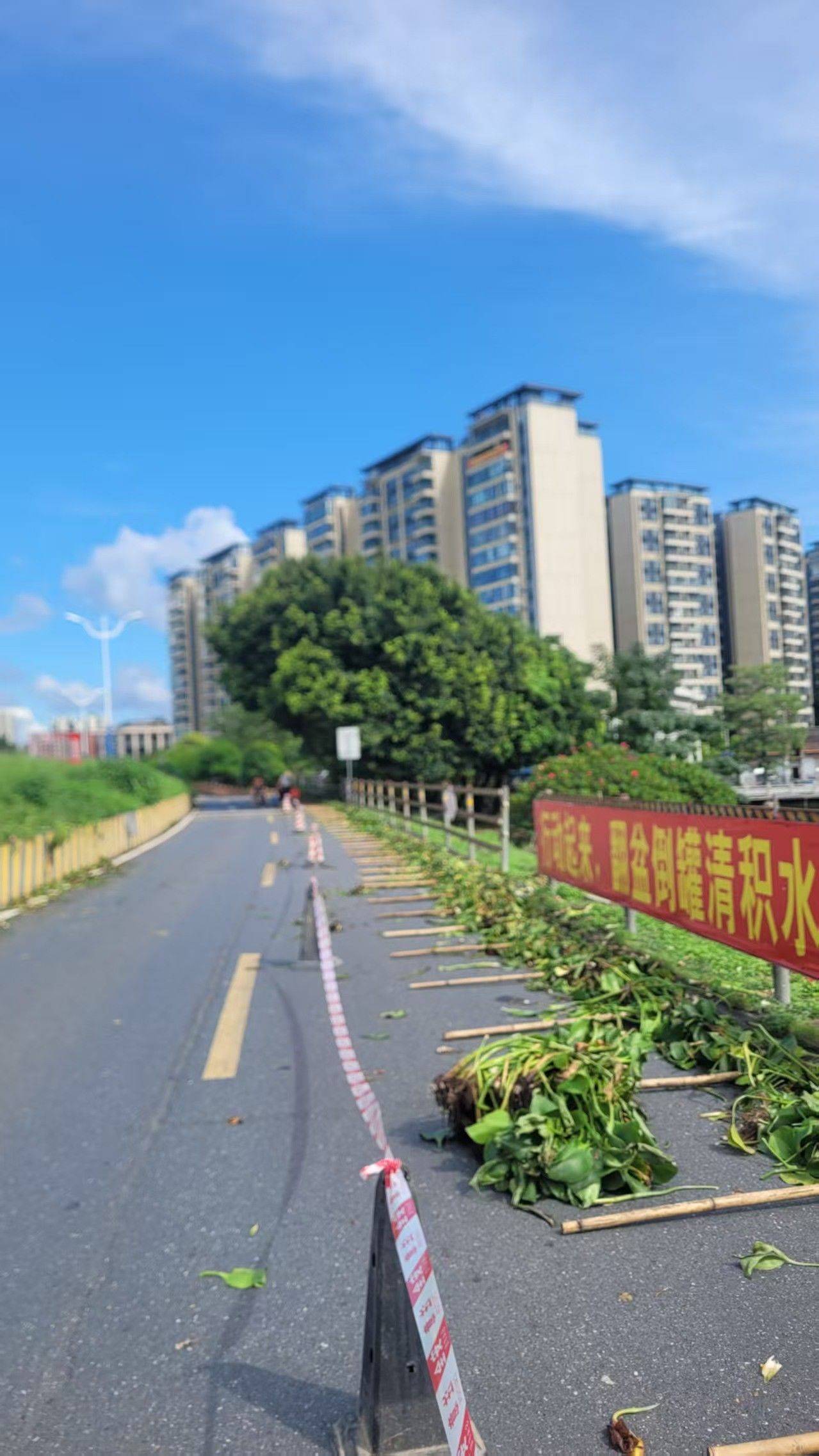 申林威