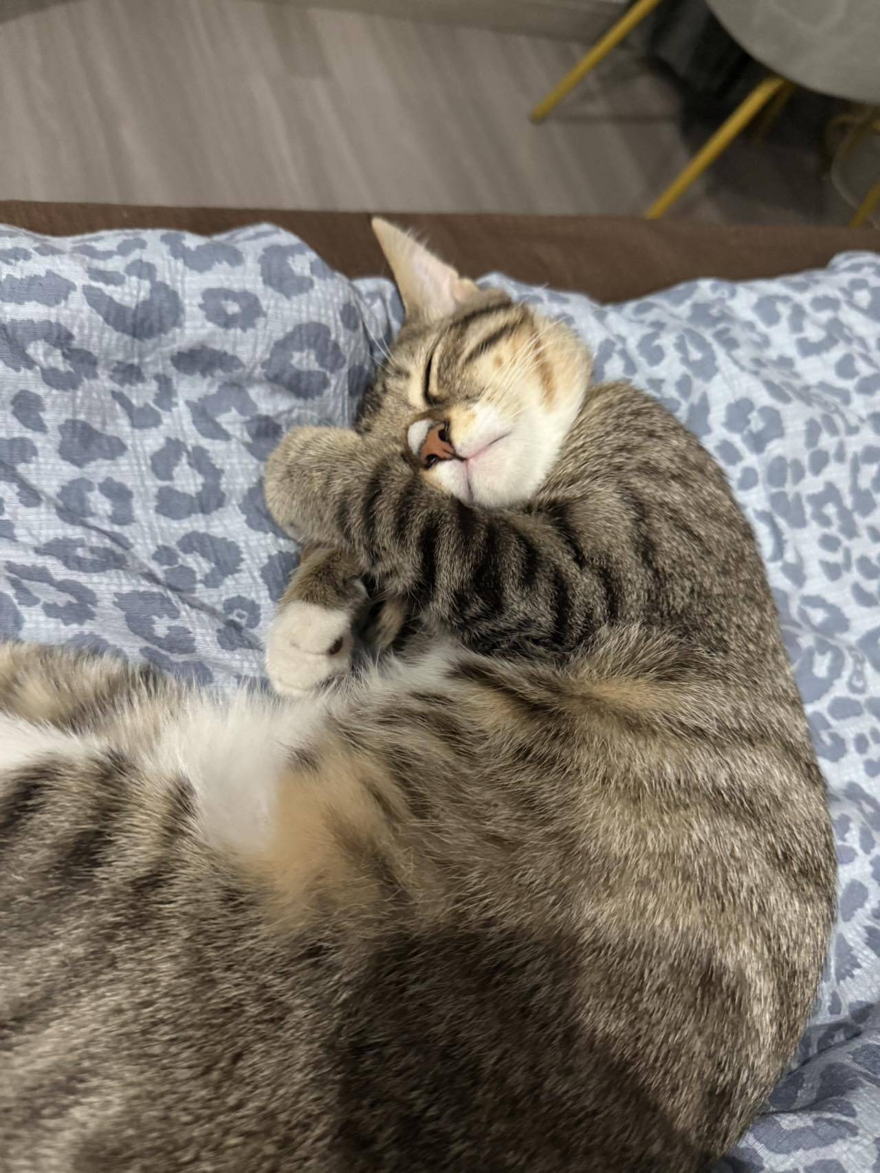 一口田💓