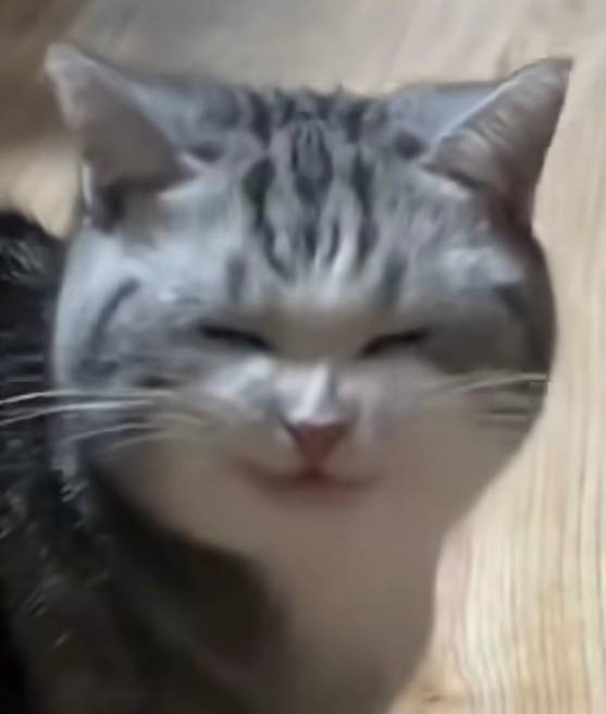 求合租的同事