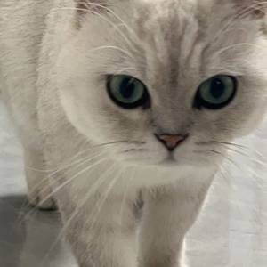 艸🐰玉