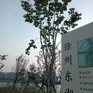 不亦乐乎