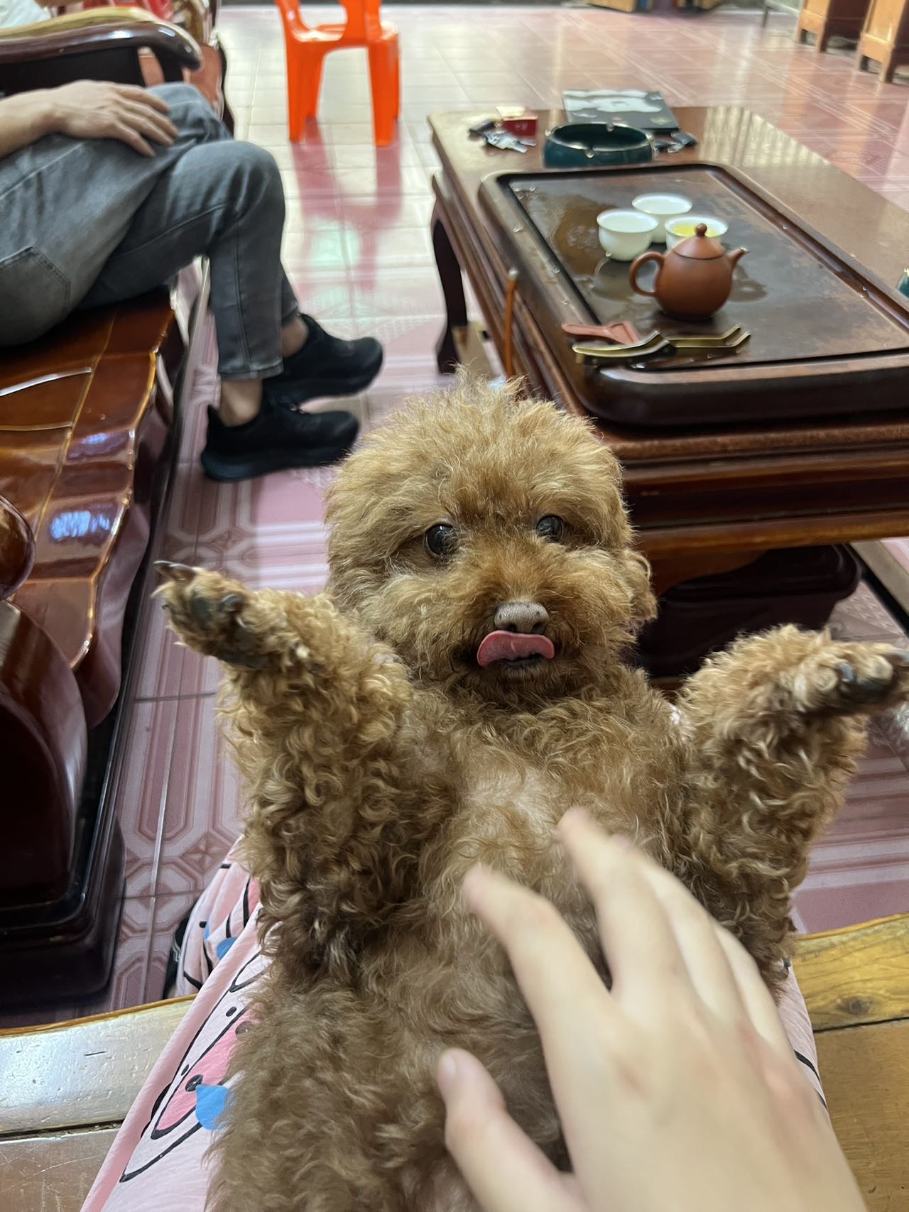 猪妞