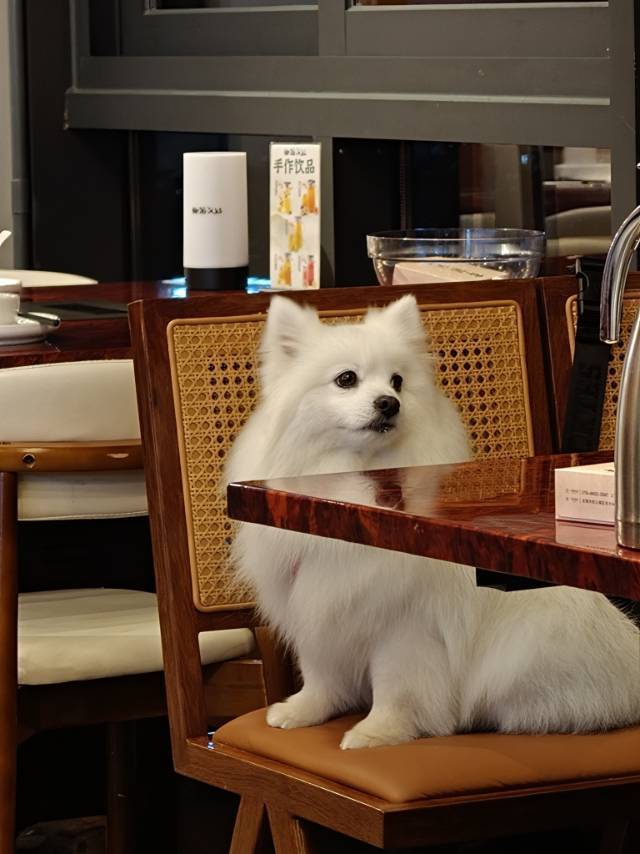 蛋挞
