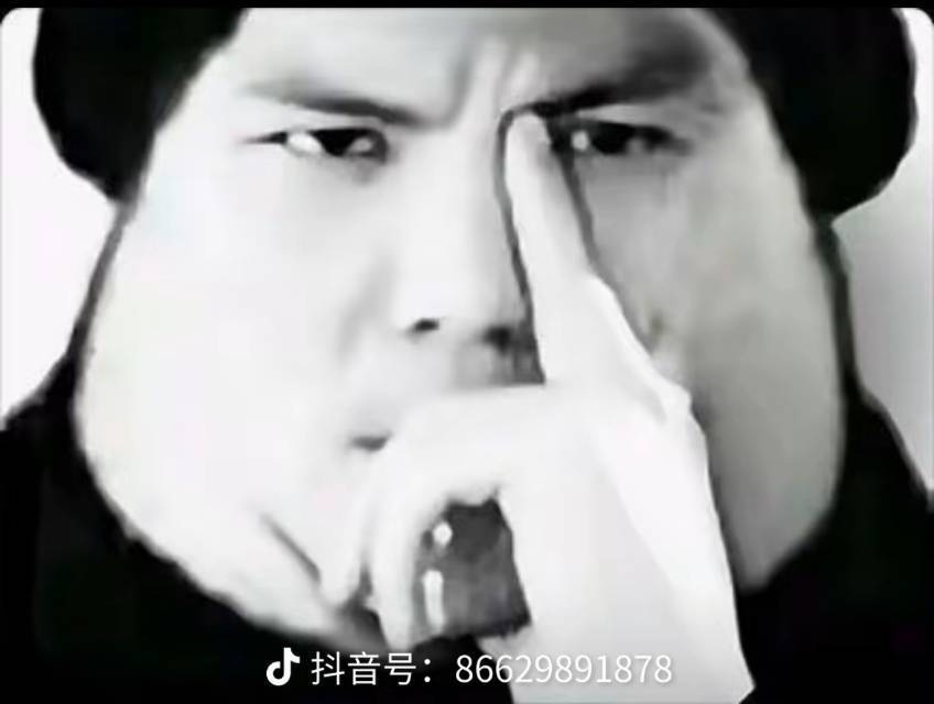北客翩然