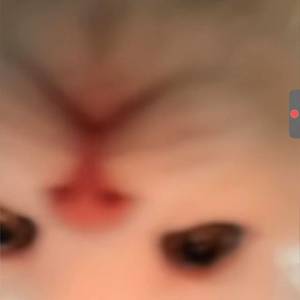 ,