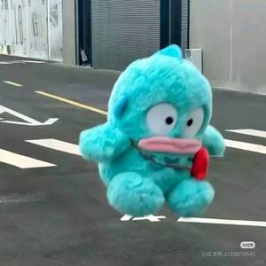西红柿炖tomato