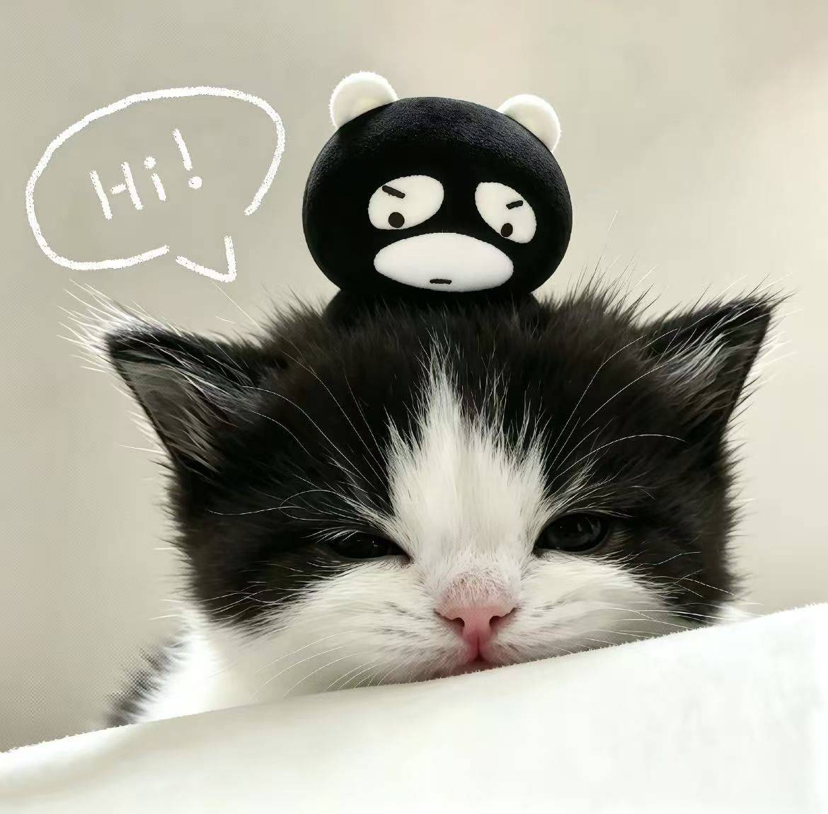 Yy