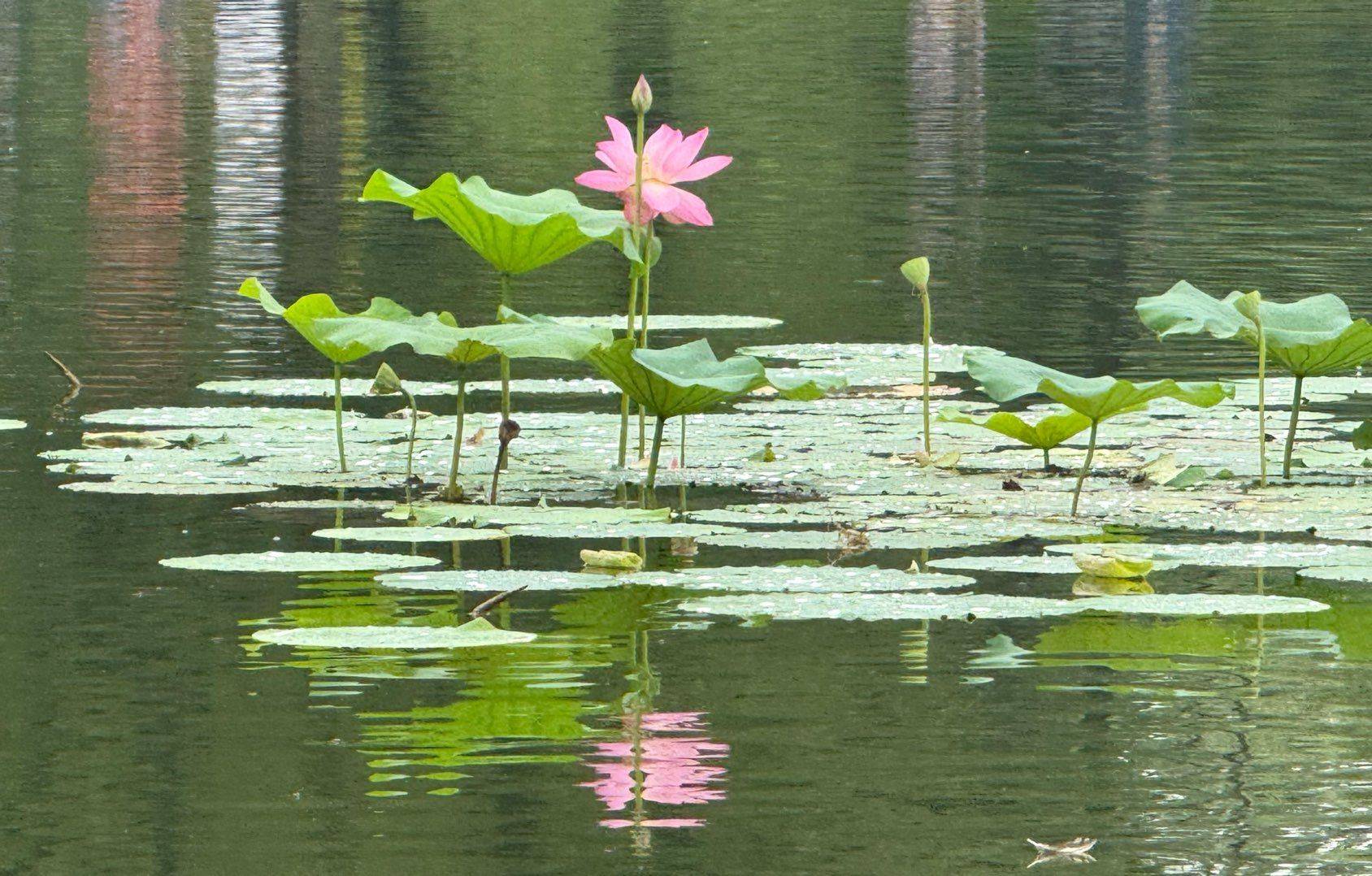 和煦