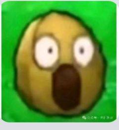 ww