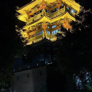 愈