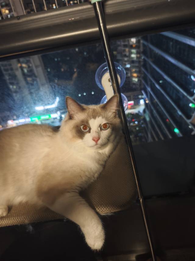 林夕