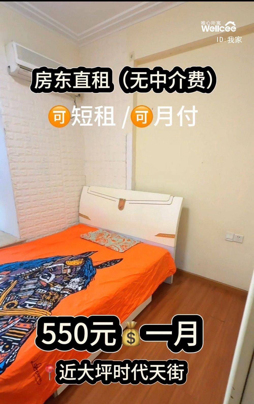 life_photo_1