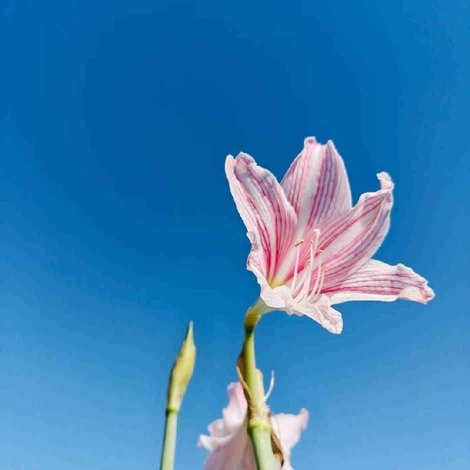 良心房东