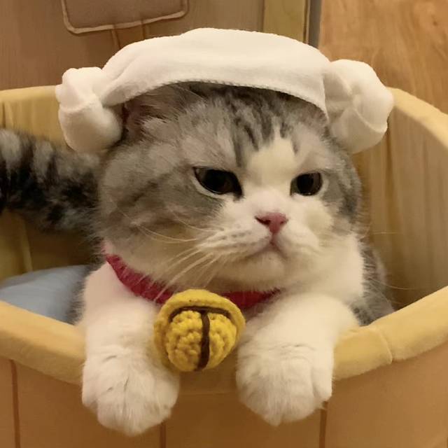 溜溜梅