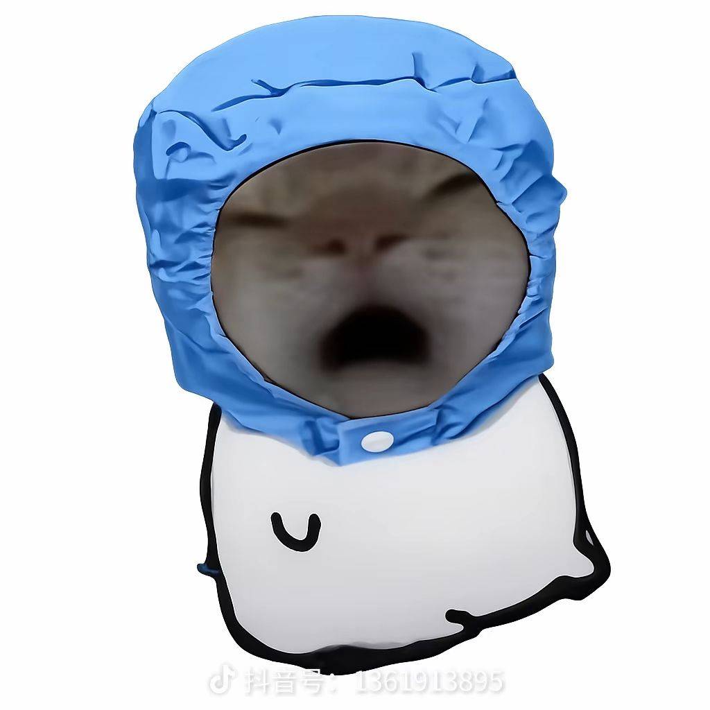 都可以