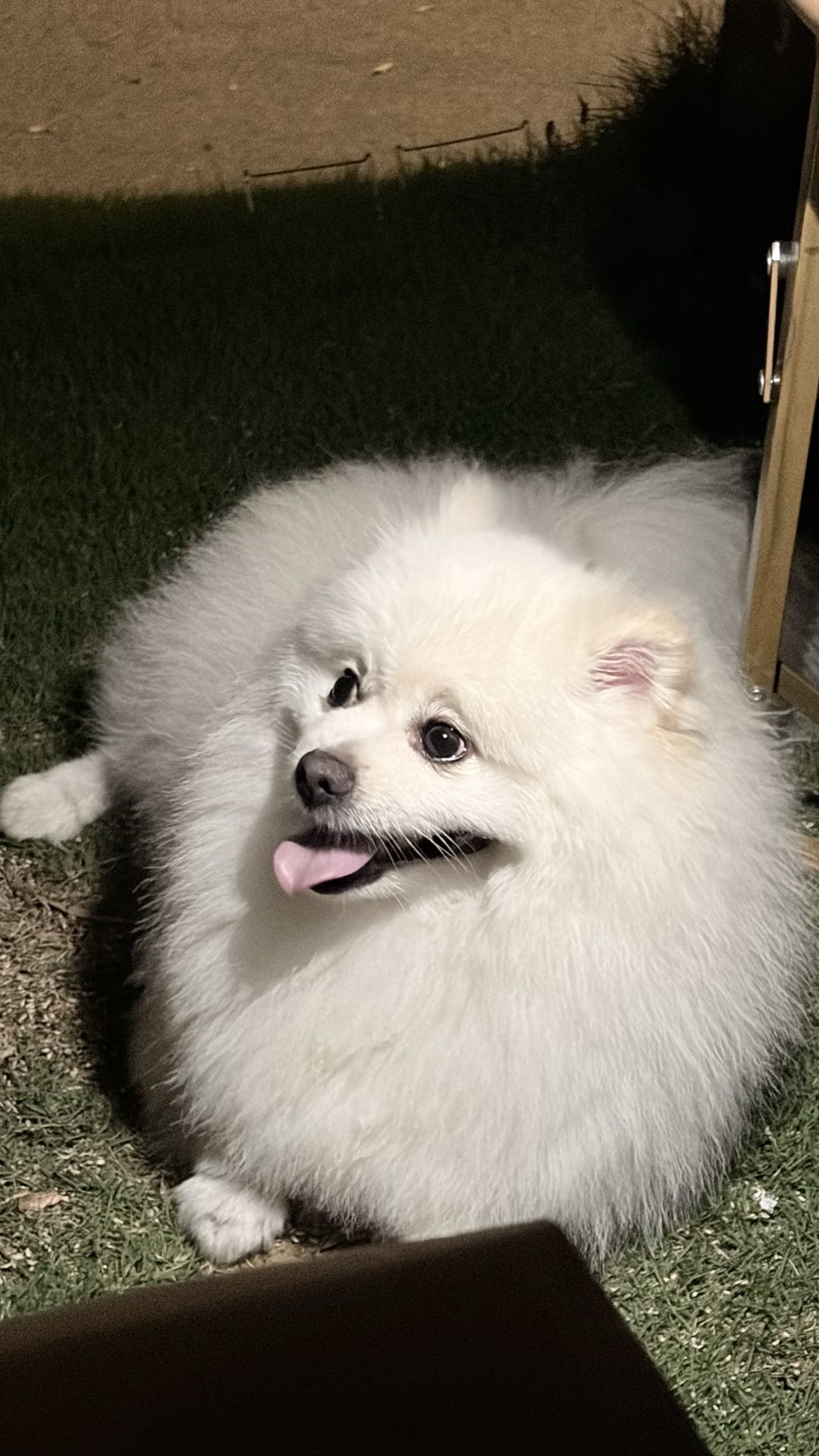TiTi
