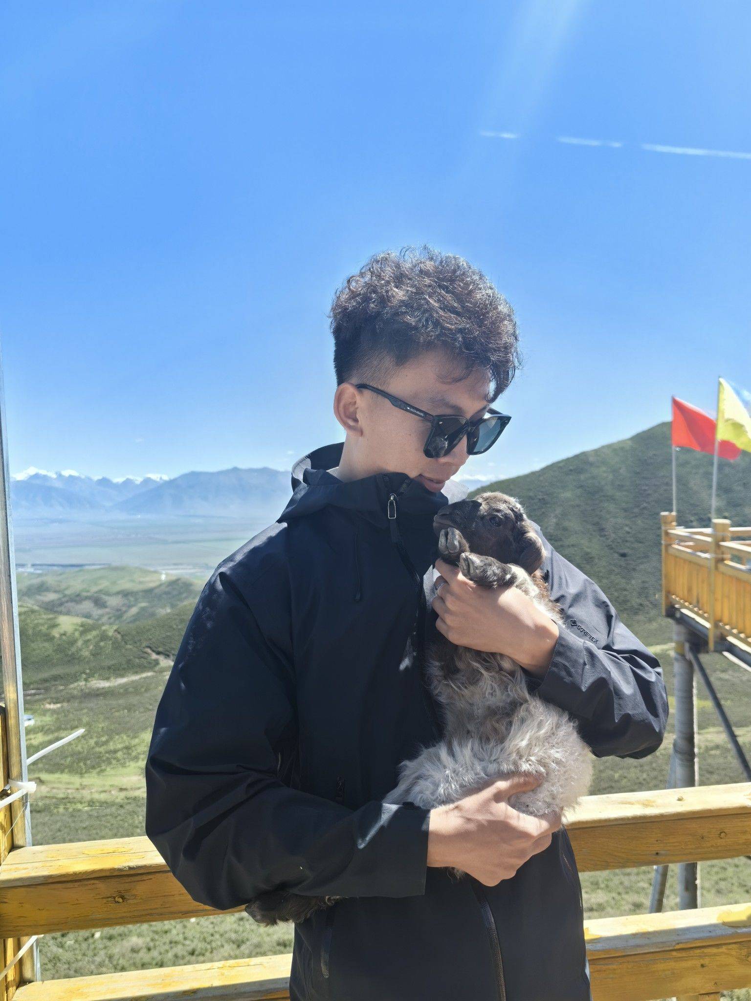 扶摇