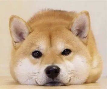 还有多久开饭？